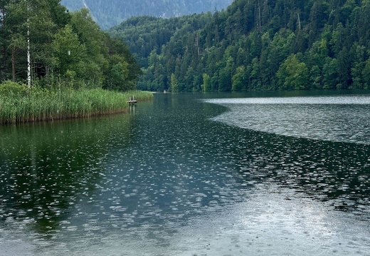 22-07-07 12-19-16 1502